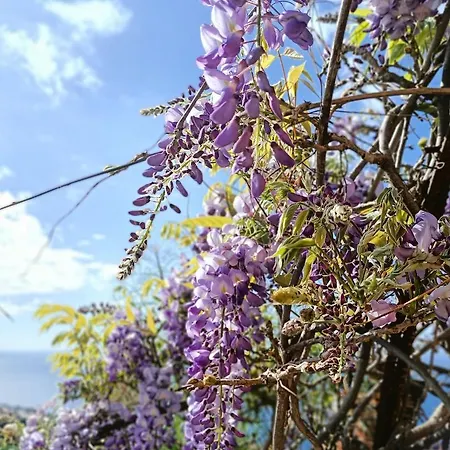 شقة Drago De Starapstenerife