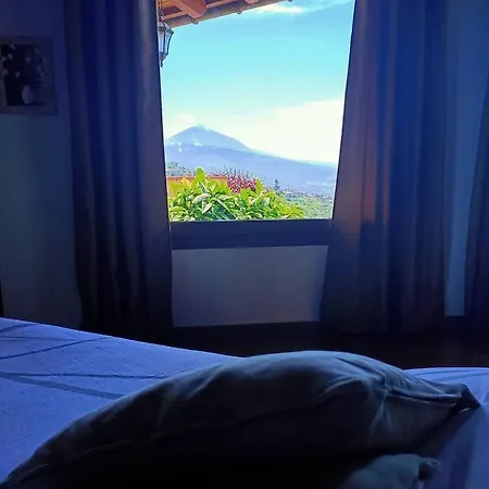 Drago De Starapstenerife